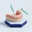 Igiene dentale e detartrasi